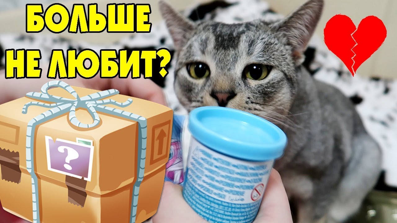 ПОСЫЛКА С ТАЙНЫМИ ЗНАКАМИ ОТ КИСЫ МИЛКИ! СЛАДУН ГРУСТИТ.