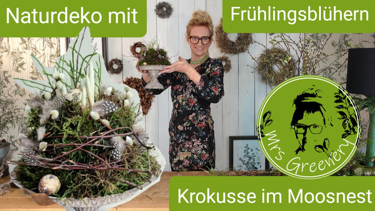 Naturdeko mit Frühlingsblühern: Krokusse im Moosnest