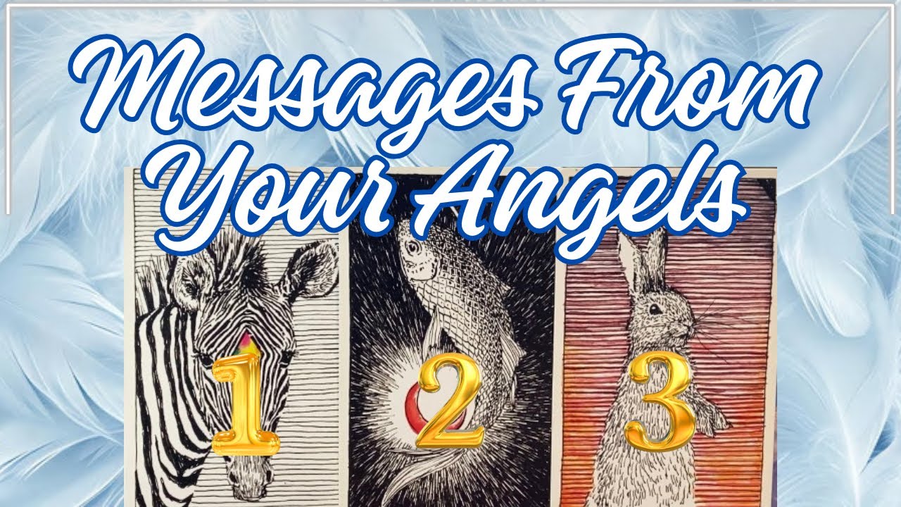Messages From Your Angels 🪽Pick A Card🪽