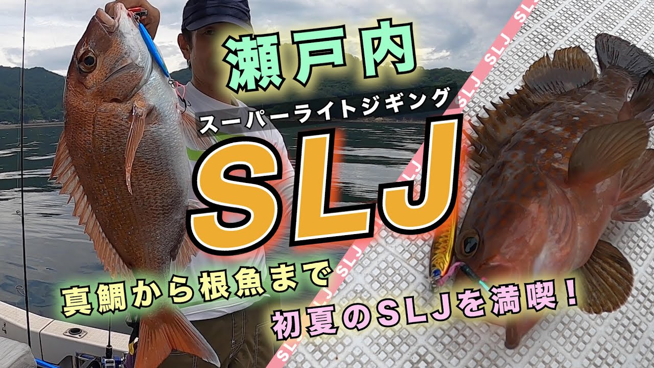 瀬戸内SLJを満喫！イワシパターンで真鯛ゲット！