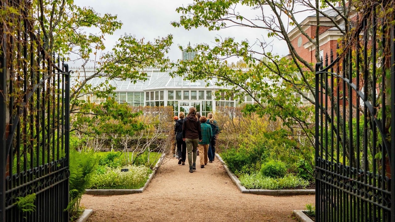FoodArtNature | Immersive Experiences in Nova Scotia&rsquo;s Annapolis Valley 🌿✨