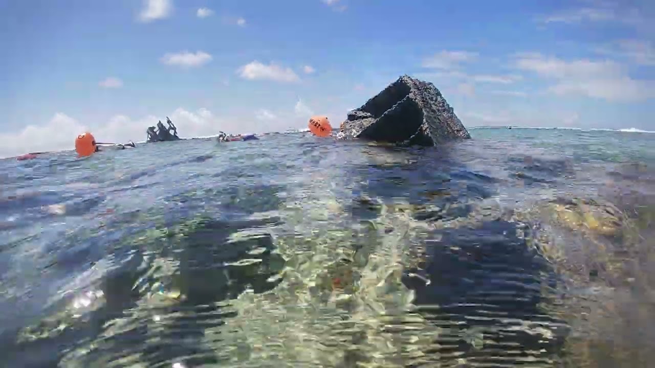 Pt D'esny,  Ile aux aigrettes and D'alblair...wreck.