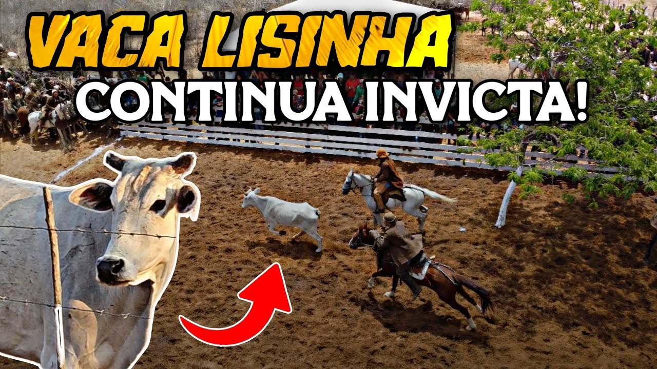 39ª CARREIRA DA VACA LISINHA NA FAZENDA 3 BEZERRA