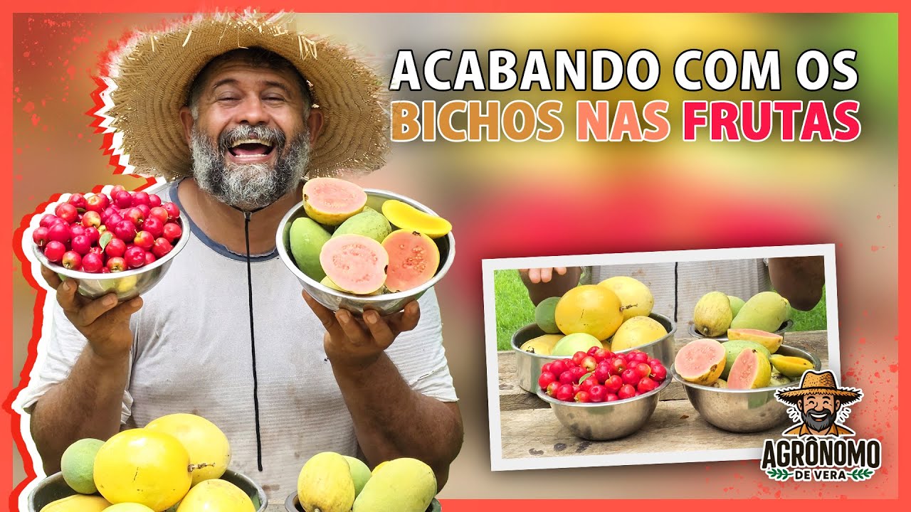 Como ELIMINAR o bicho das FRUTAS 