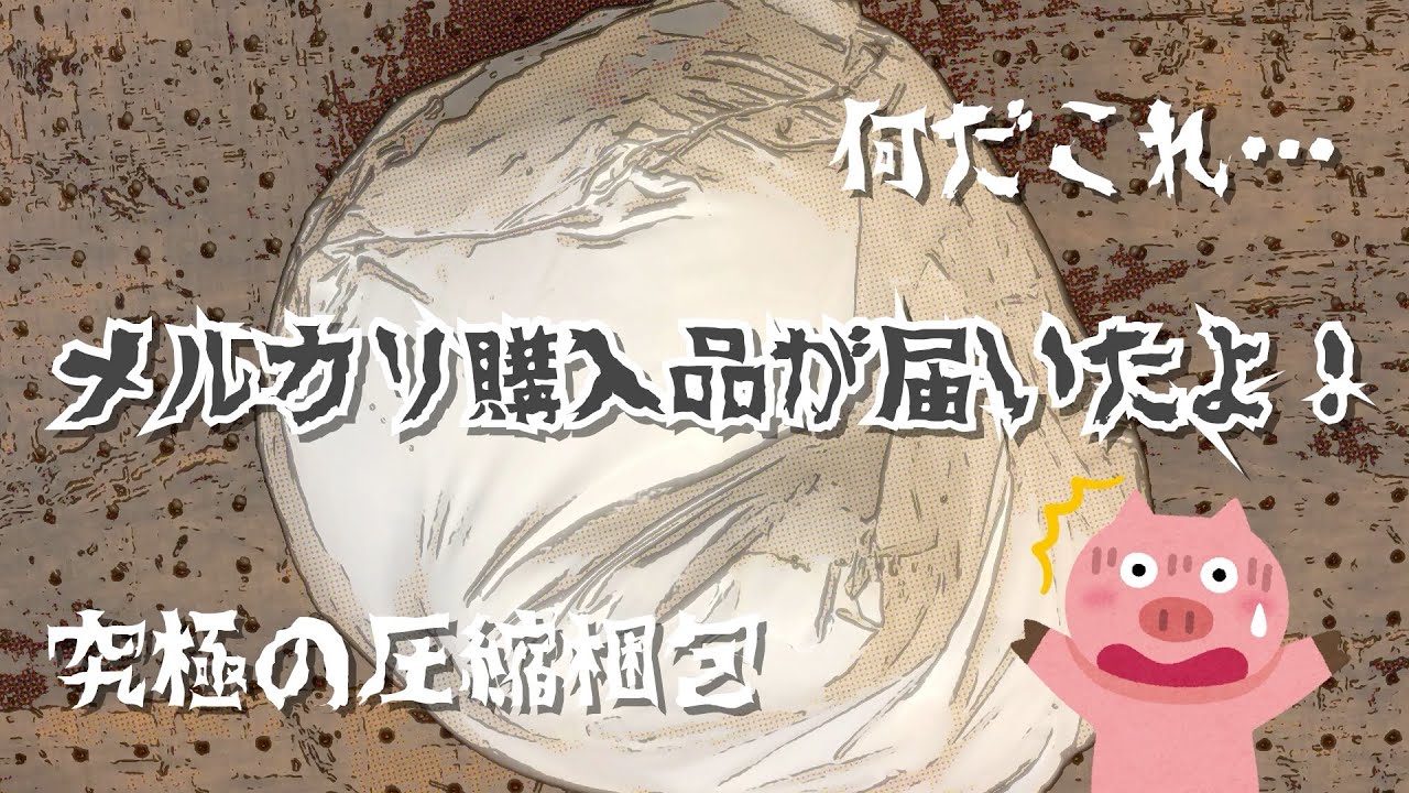 【メルカリ】メルカリ購入品が届いたよ！【圧縮梱包】【ぬいぐるみ】