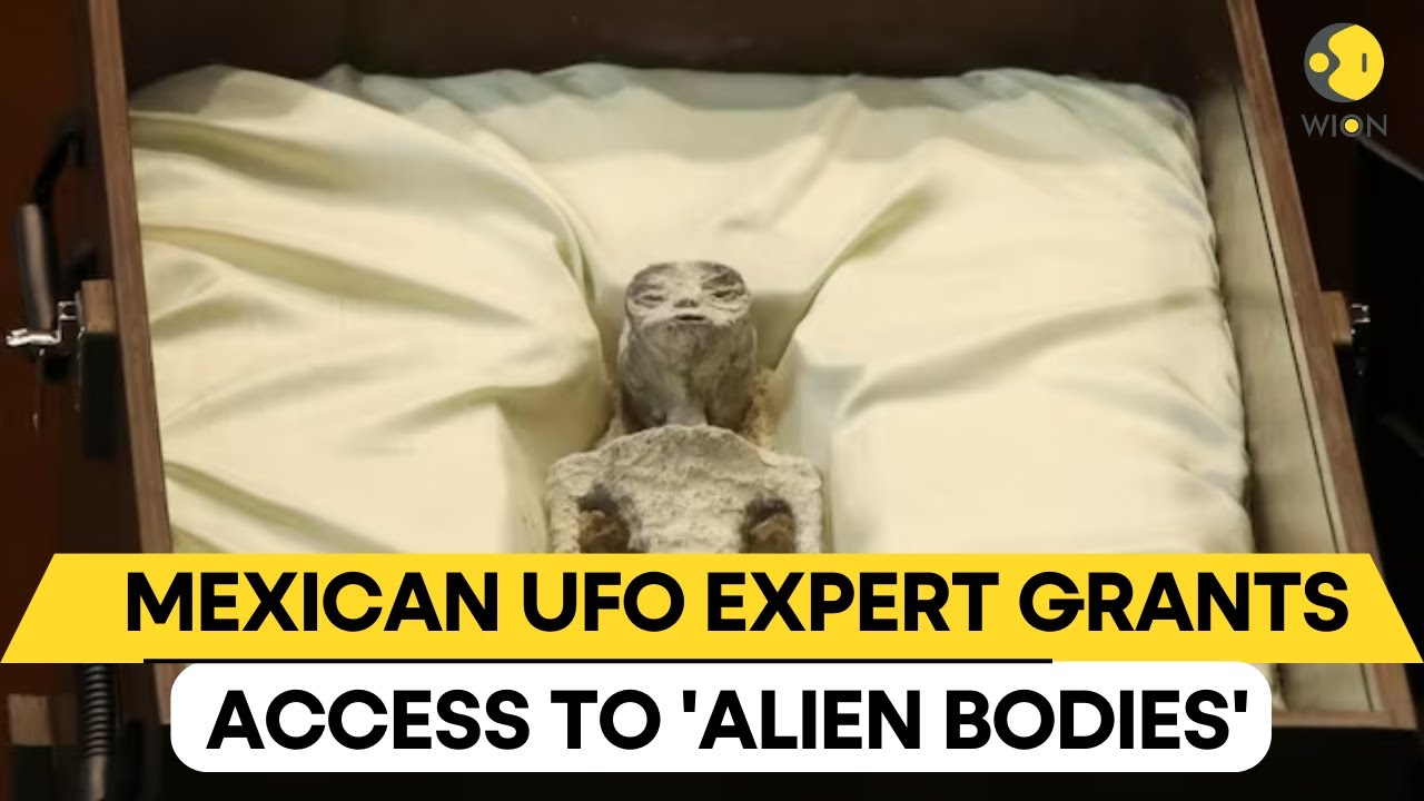 UFO expert grants access to 'alien bodies' at center of international controversy | WION Originals