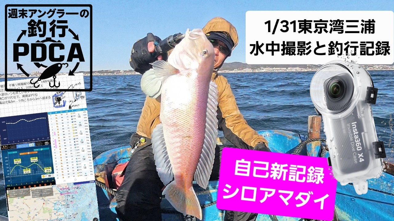 東京湾三浦　1/31ボート釣行記録　アマラバ記録更新＆水中撮影フィールドテスト
