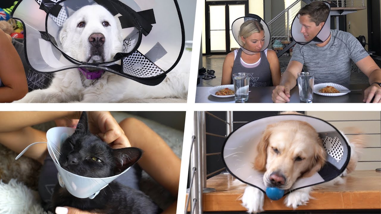 THE CONE CHALLENGE - Super Cooper Sunday 
