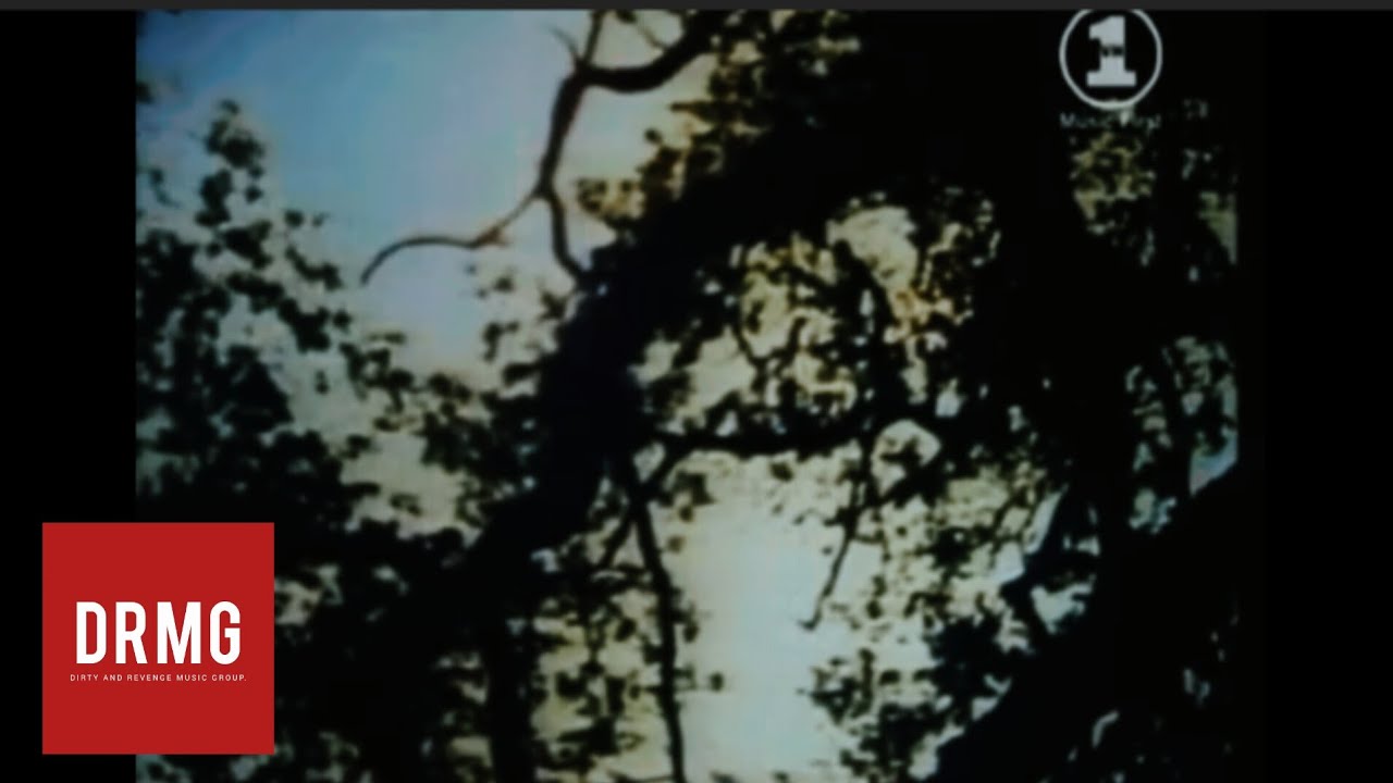 Burzum - Dunkelheit (Official Music Video MTV version)