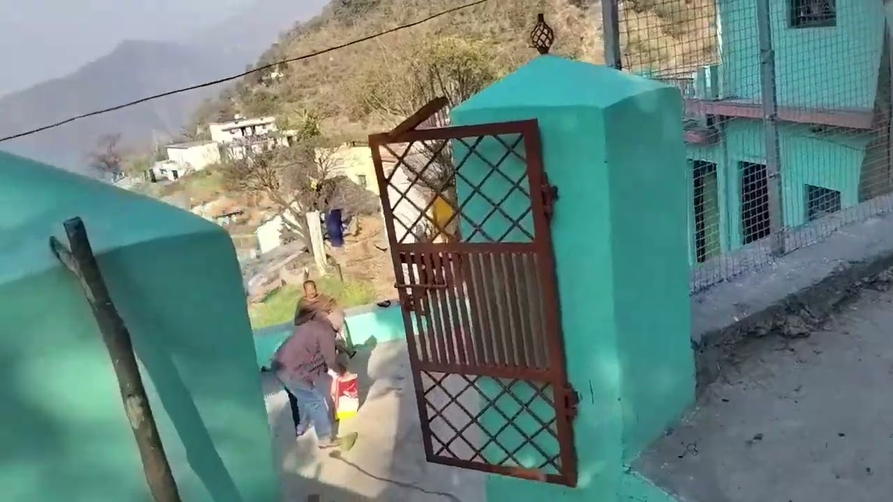 मेरी मां ने कितनी सुंदर खेती कर रखी है वीडियो पूरी देखना❤️❤️❤️❤️❤️