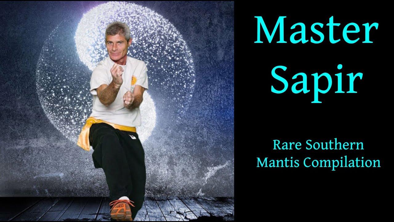 Sifu Sapir  |  Rare Southern Mantis Compilation
