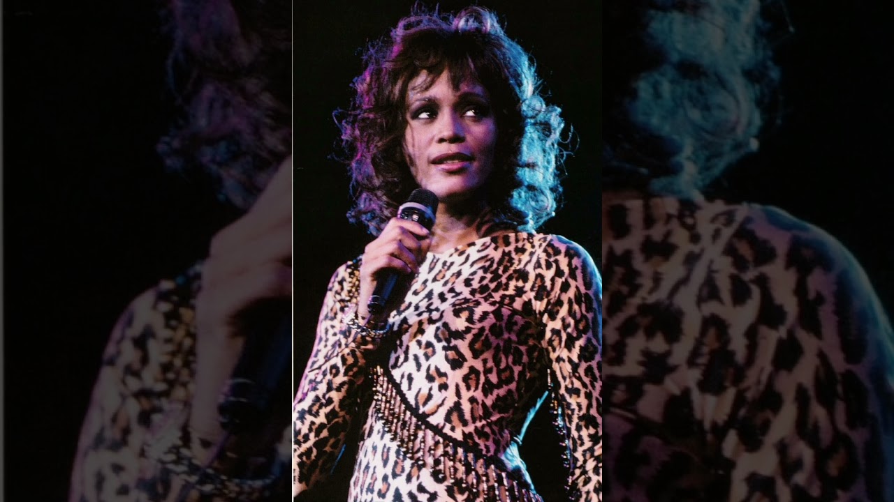 11 - Whitney Houston Wonderful Counselor/Band Introduction Live In Uniondale,Long Island 6.19.1994