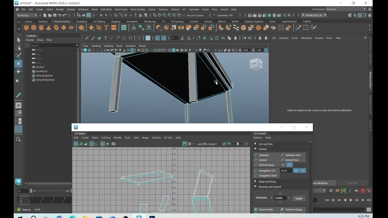 UV editor y Sapshot