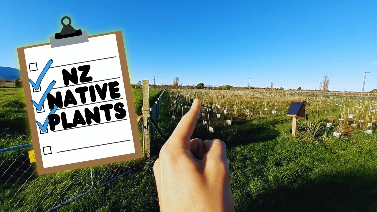 Native Plant List - 1 year old reforestation project