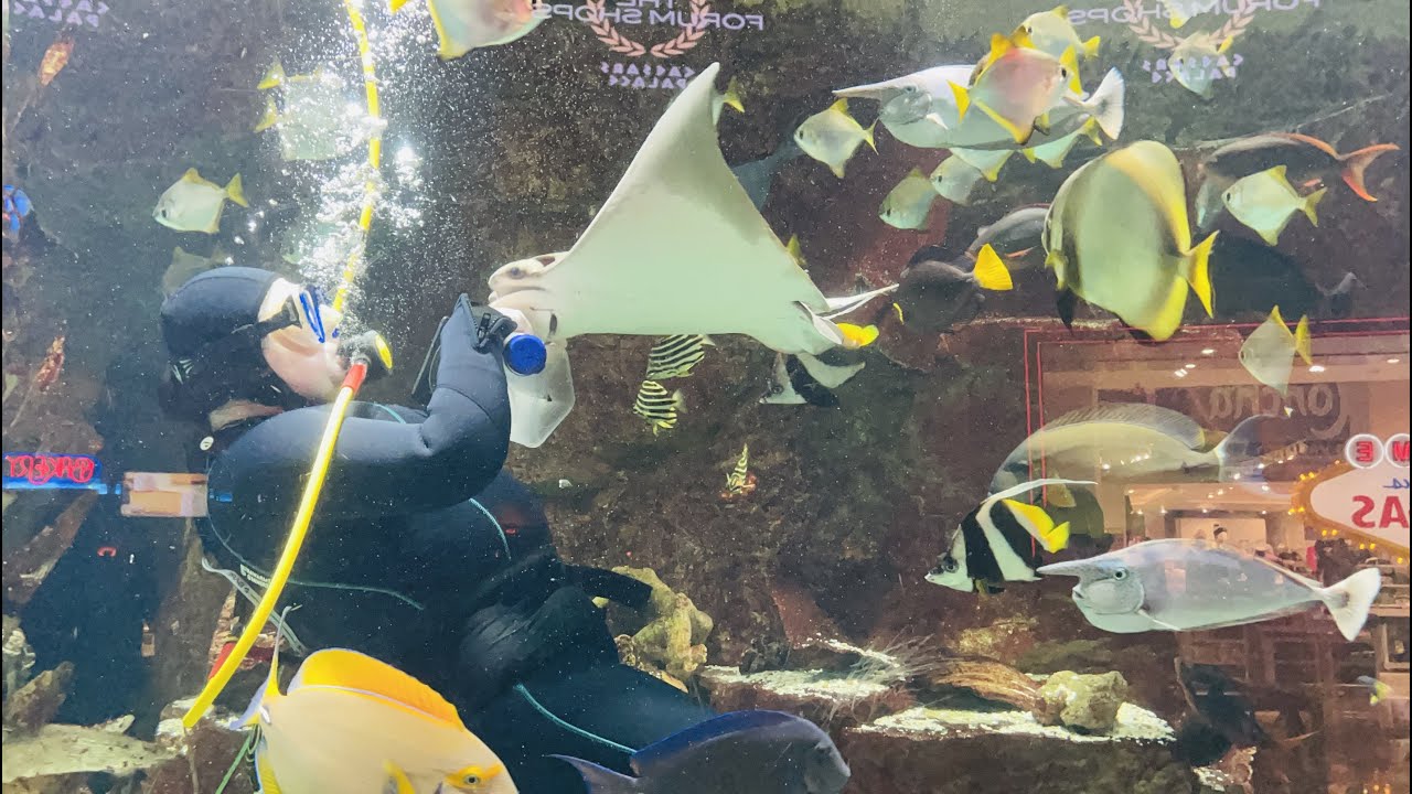 The AQUARIUM Inside The Forum Shops @ Caesars Palace Las Vegas