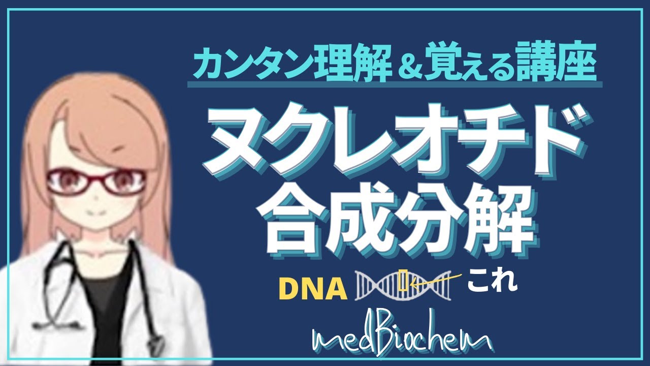 ヌクレオチド代謝