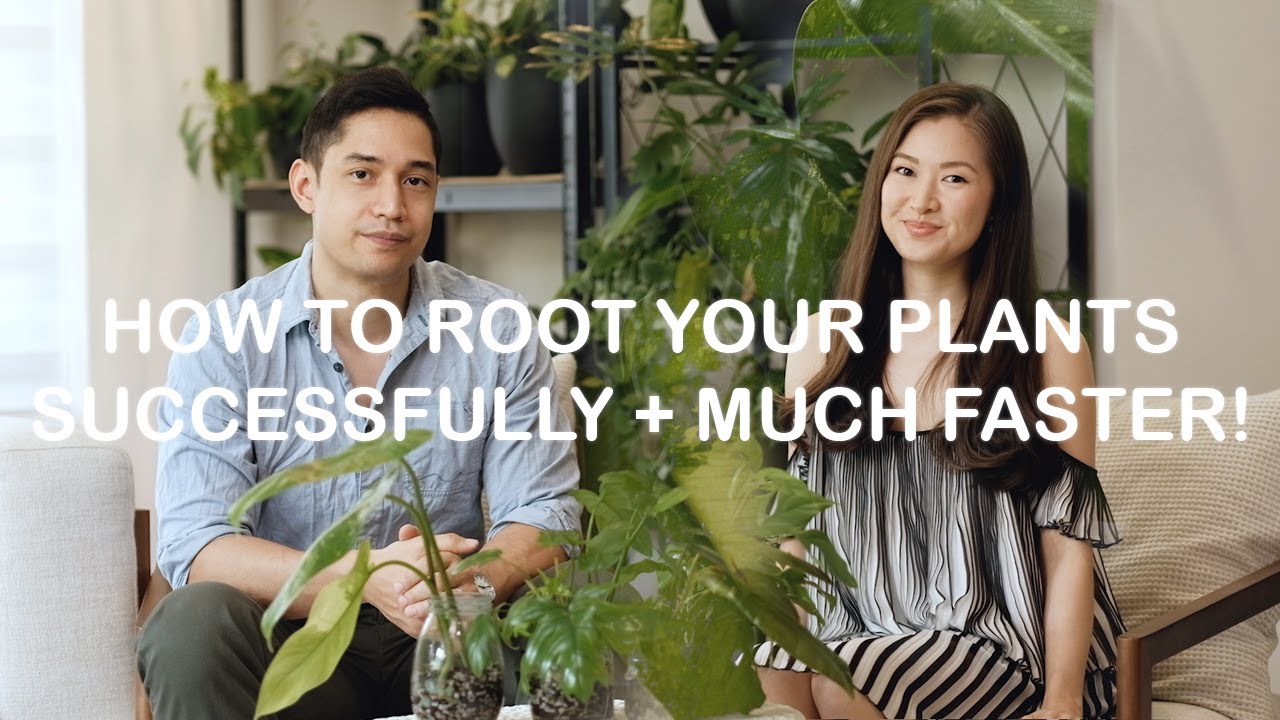 How To Root Your Plants Successfully + Much Faster! #PONMIX