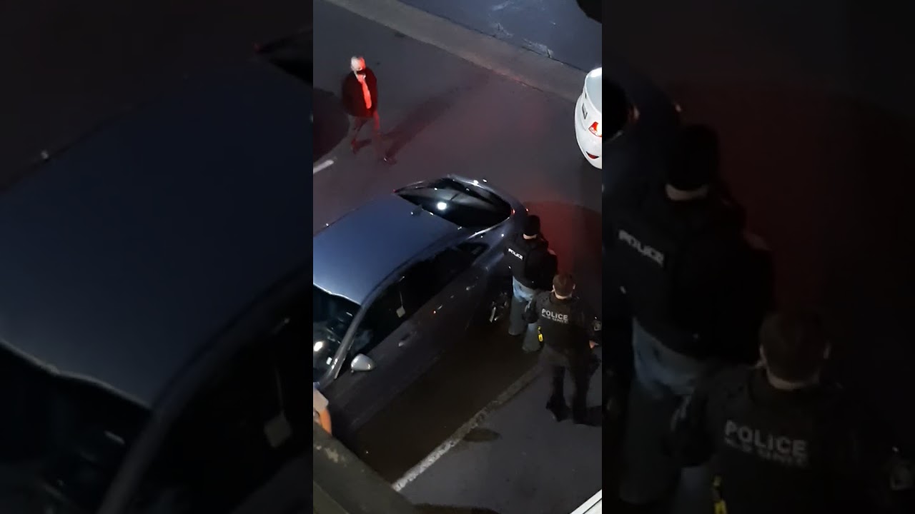 Fake sting operation for pimping. There is a video before this that shows what happened prior.