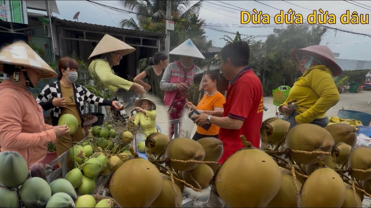 Mua Dừa Dứa Dừa Dâu Bán Lại Kiếm Lời Thêm Buổi Chiều/Tập 45