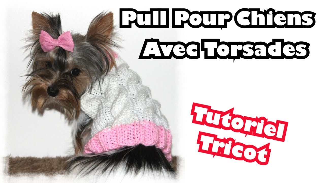 Petit Pull à Torsades Pour Chiens Tutoriel Tricot DIY