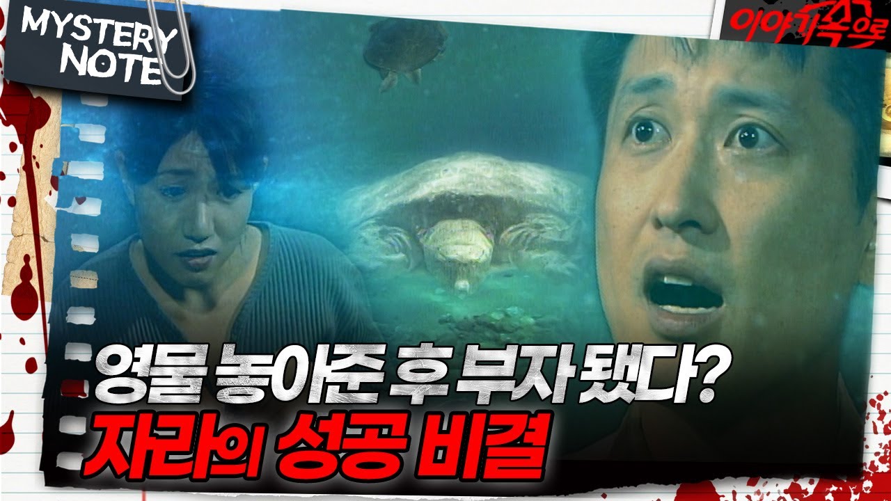 [미스터리 노트] 영물 놓아준 후 부자 됐다? 자라의 성공 비결｜#미스터리노트 MBC980918방송