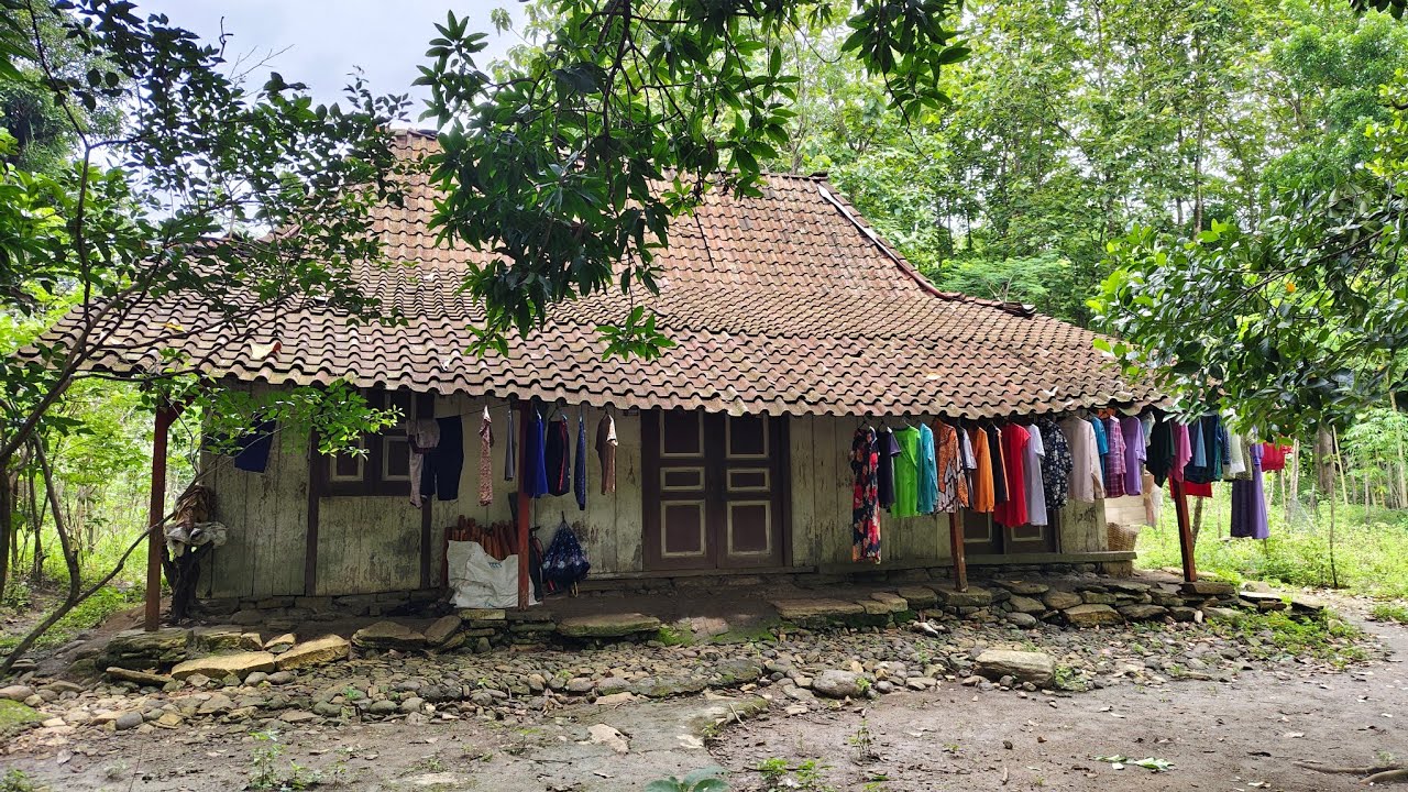 CEPAT TONTON‼️NGINTIP Kampung Suku Jawa Kuno di Pedalaman Desa Terpencil
