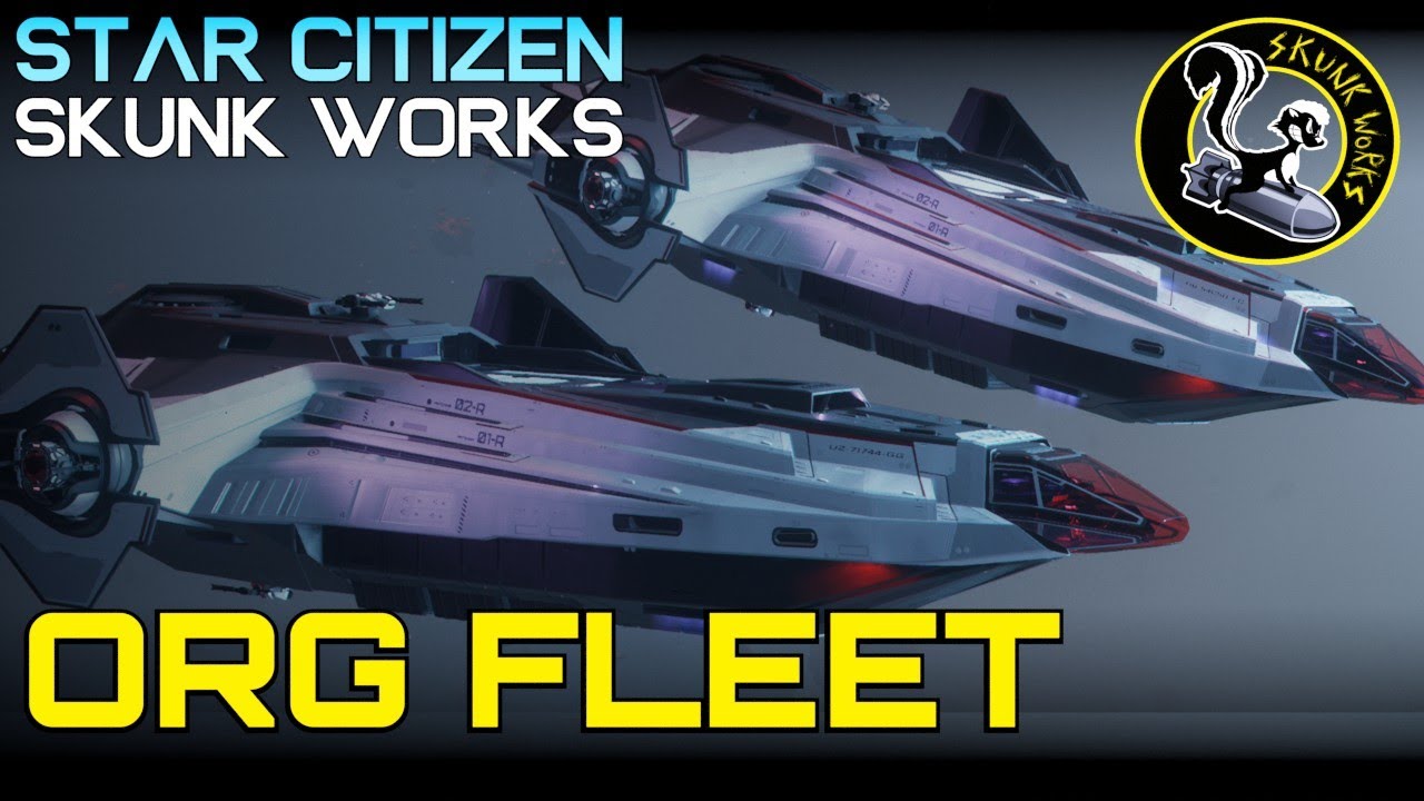 Skunk Works - Active ORG Fleet - Carrack / Hammerhead / Retaliator Fleet Structure - Star Citizen