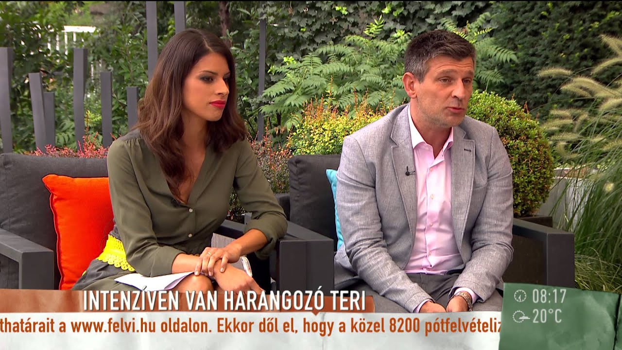 Aradszky: ˝Harangozó Teri titkolja, hol ápolják˝ - 2015.08.25. - tv2.hu/mokka