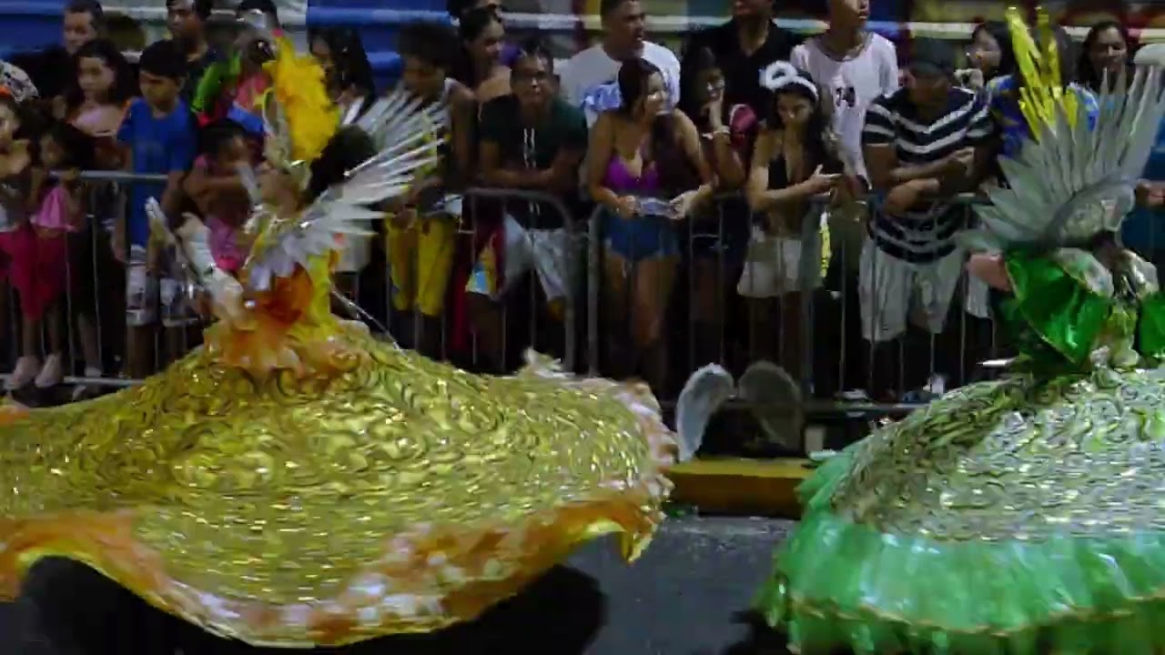 Desfile Passarela Estrela Brilhante 2024