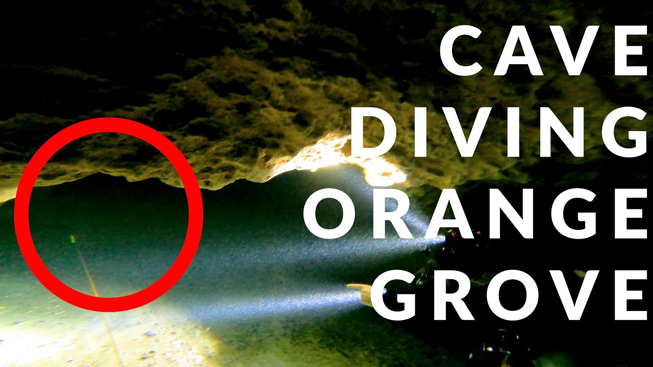 Cave Diving Orange Grove