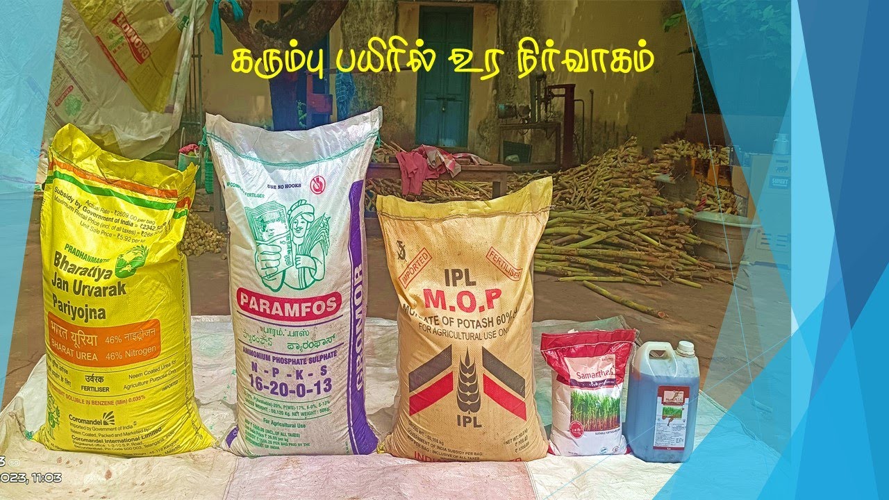 கரும்பு பயிரில் உரம் நிர்வாகம்/ Sugarcane Fertilizer Schedule