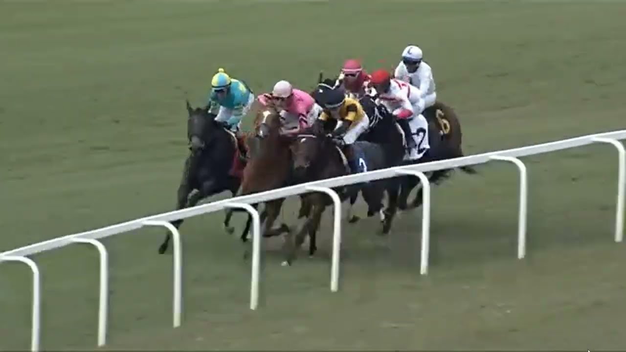 R7 GULFSTREAM PARK -USA -05 FEB 2026