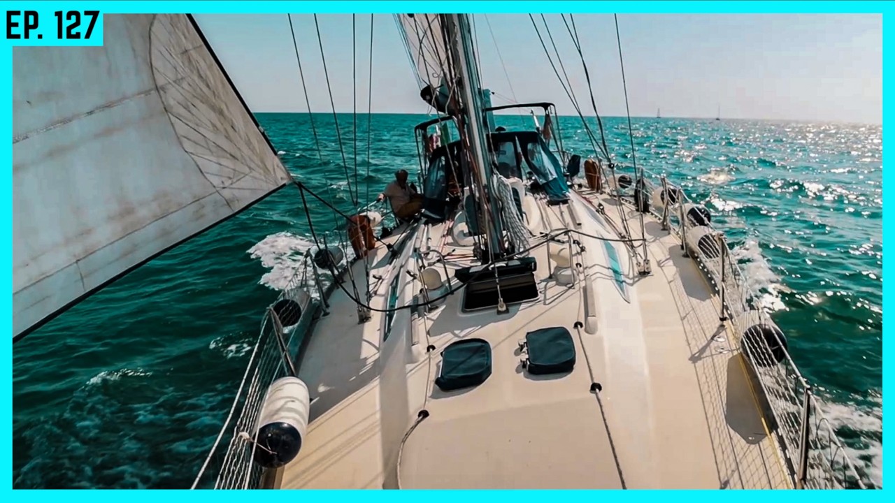 Mode-Gag oder echtes Segelboot? Taugt die seltene Dufour 42 Lacoste was? 🐊 | BootsProfis #127