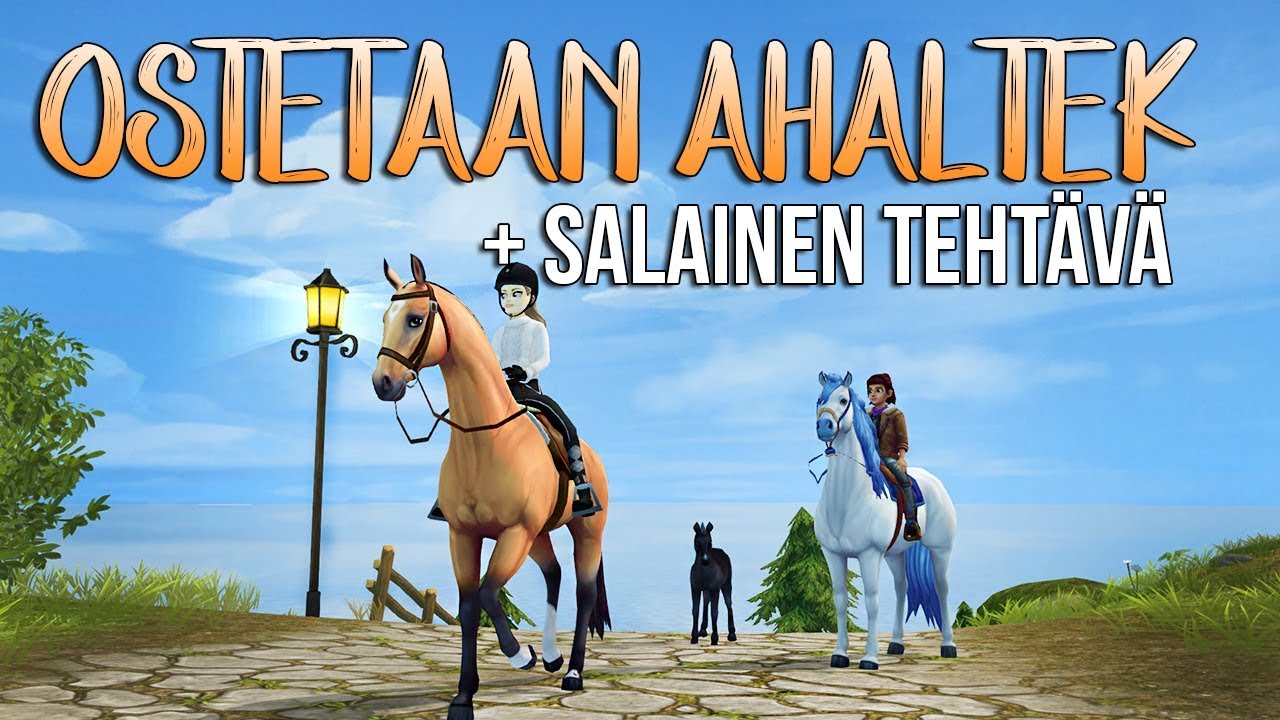 Ostetaan uusi ahaltekinhevonen! | SSO