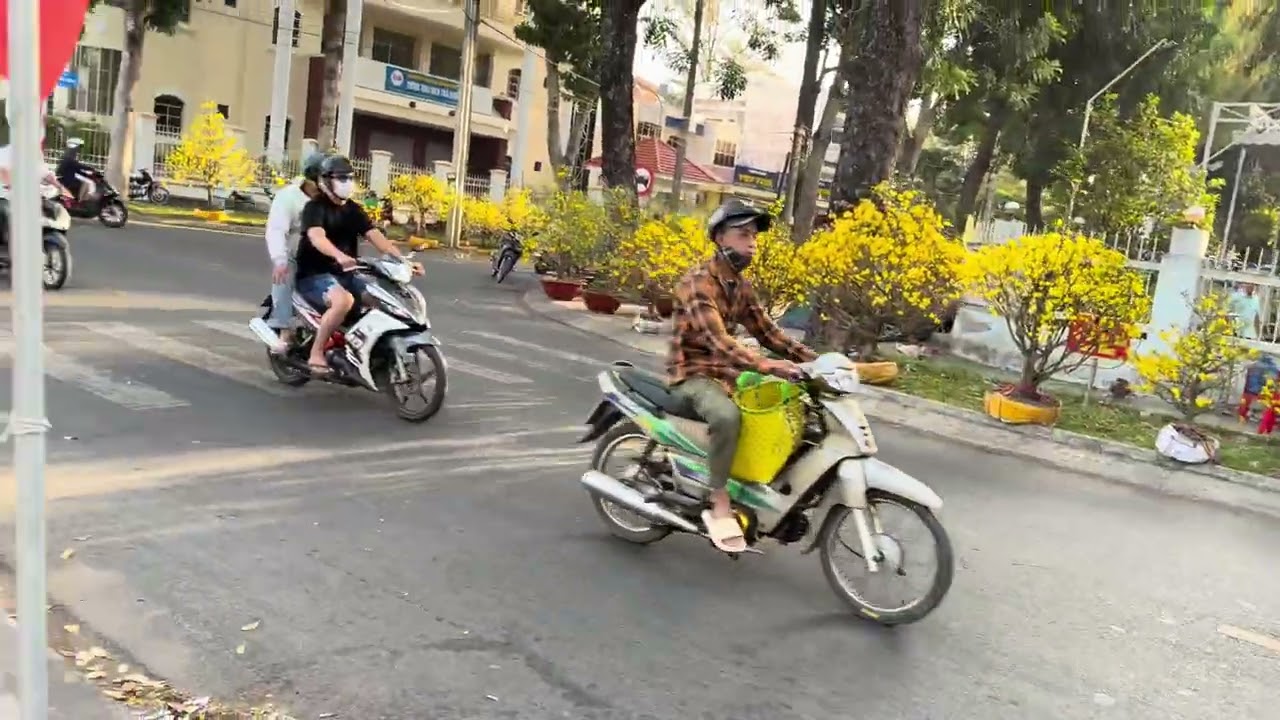 29 Tết Bính Ngọ tại Trà Vinh