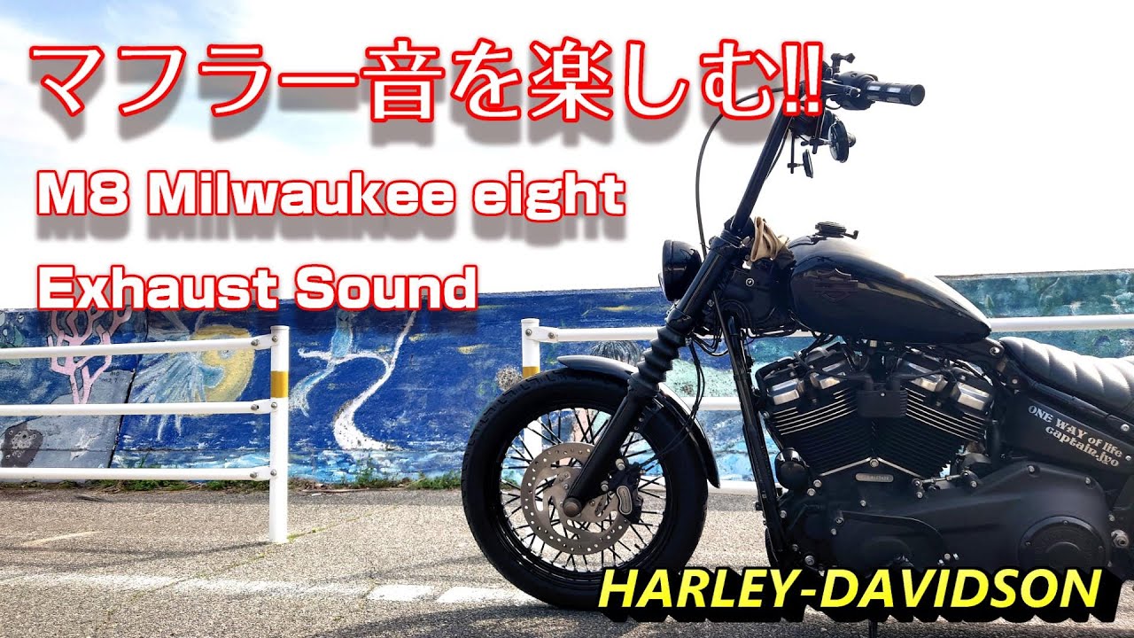 【マフラー音】M8 エキゾーストサウンド 『ミルウォーキーエイトの特徴』【ハーレーダビッドソン】