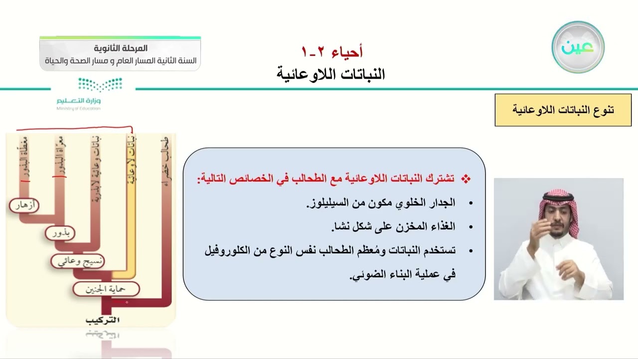 النباتات اللاوعائية - الأحياء (2-1) - المسار العام والصحة والحياة - السنة الثانية