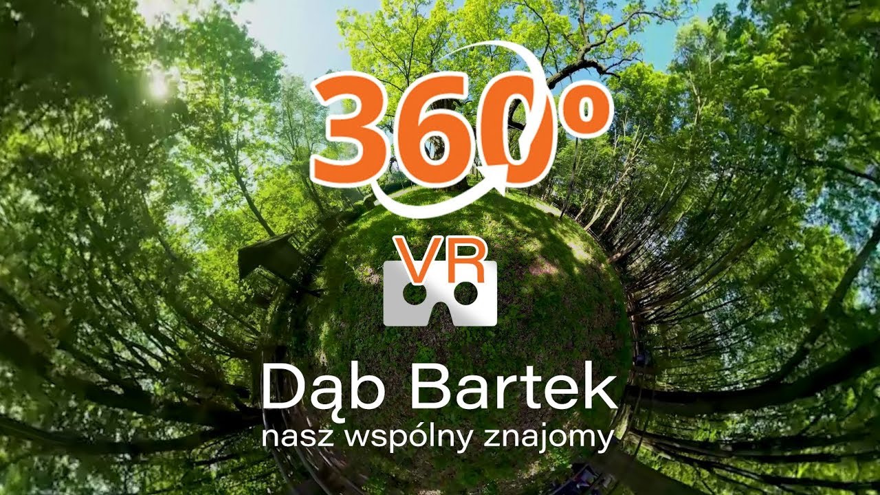 Dąb Bartek nasz wspólny znajomy - VIDEO 360 - film sferyczny 4K