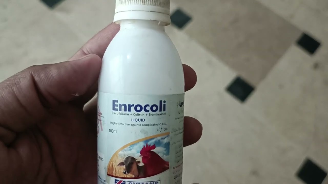 use of enrocoli in chickens and Pigeons