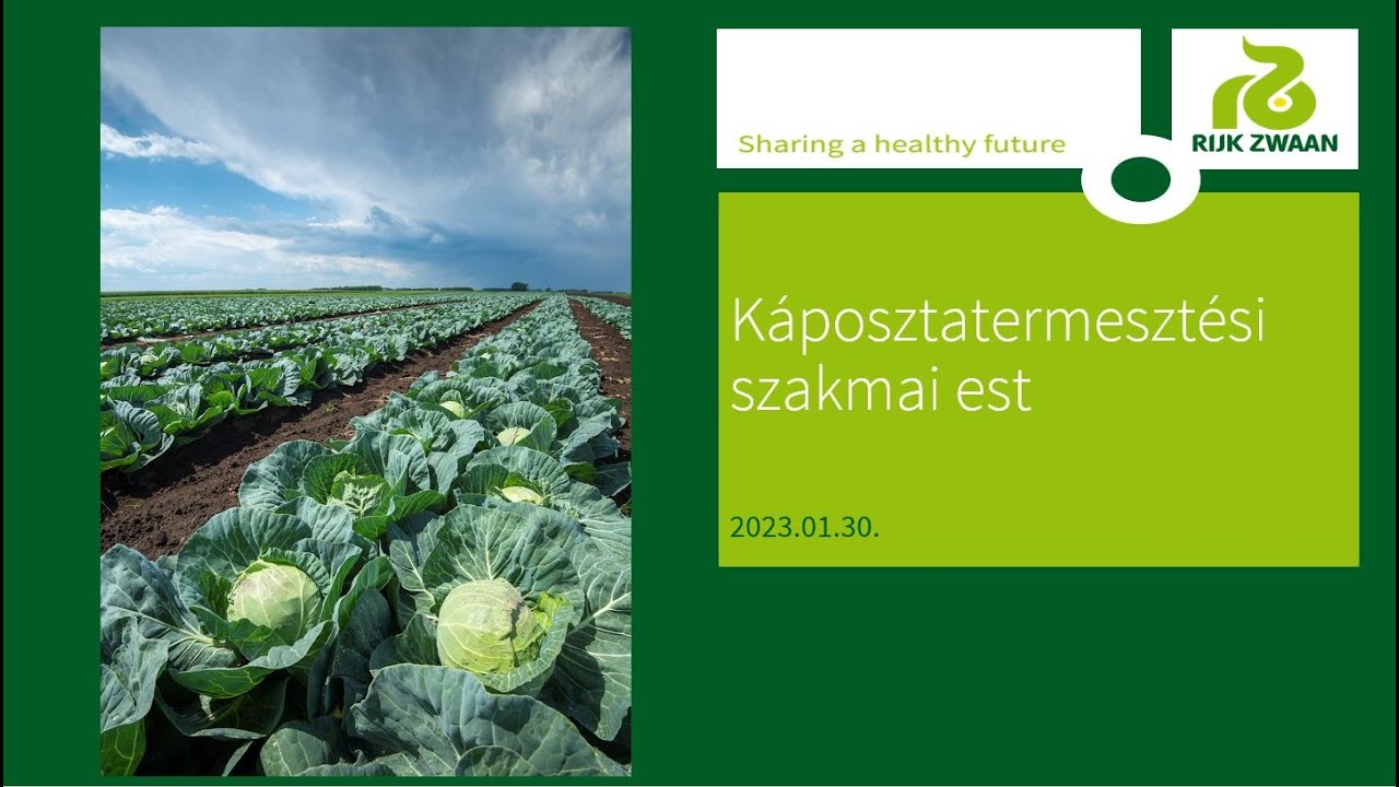 Rijk Zwaan káposztatermesztési szakmai est, 2023.01.30.