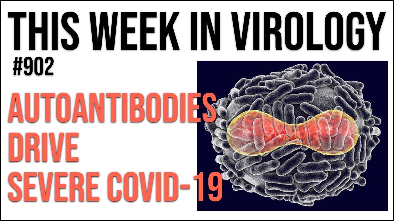 TWiV 902: Autoantibodies drive severe COVID-19