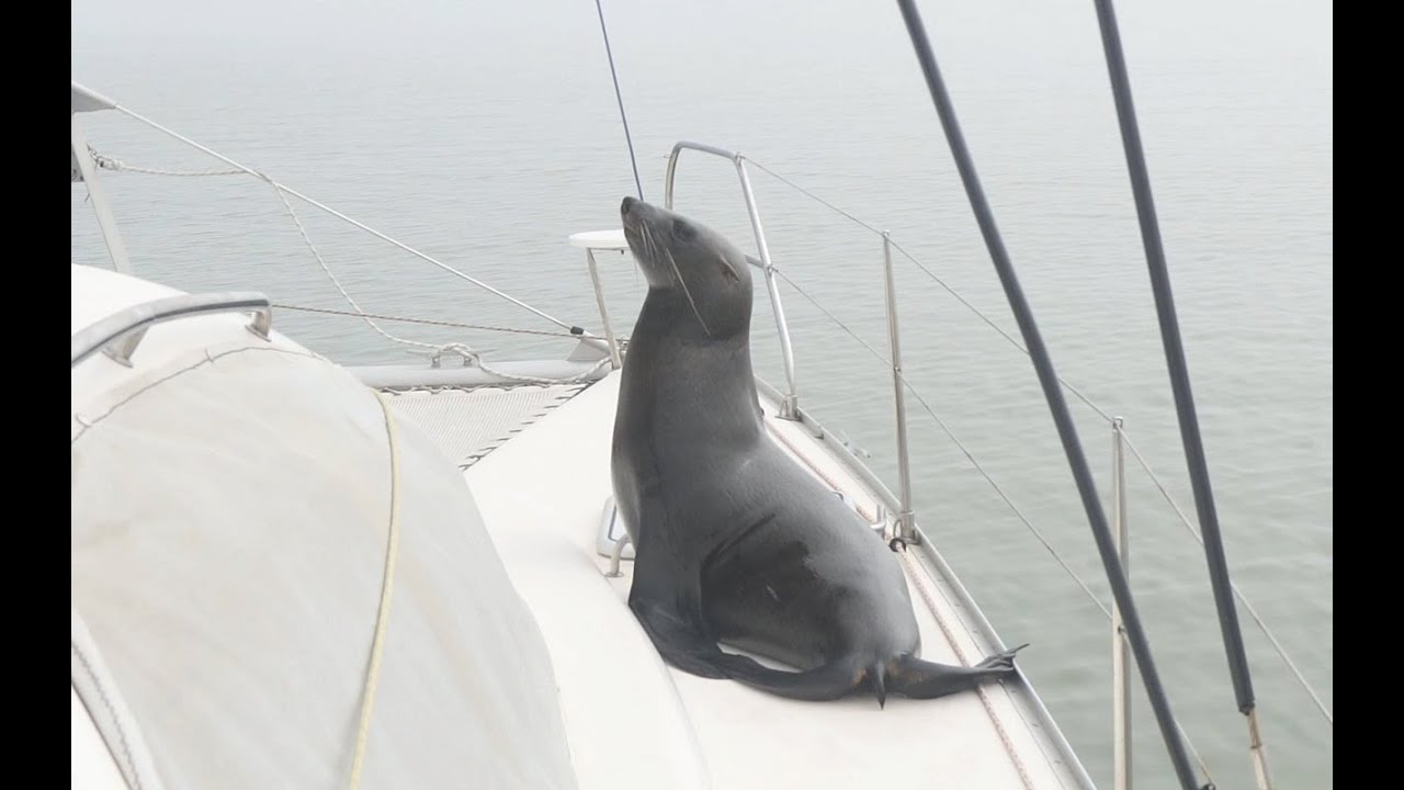 E28 Walvis Bay and Swakopmund, Namibia