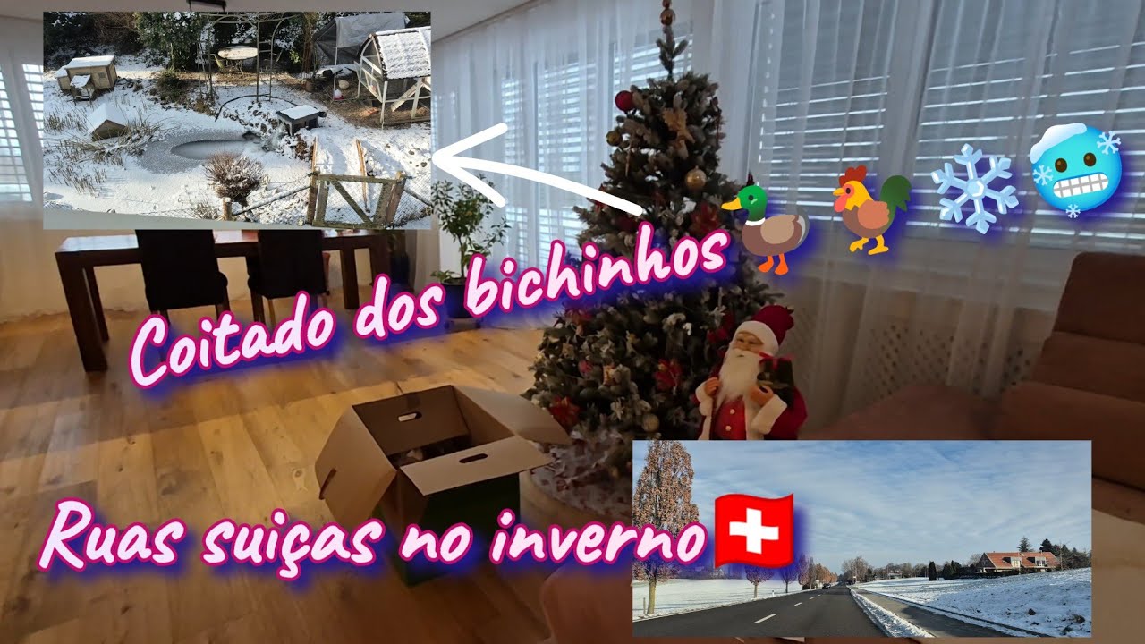 Desmontando minha àrvore de Natal / lago congelado nesse frio❄️