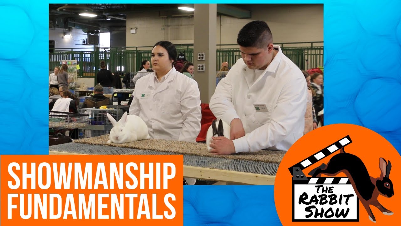 Rabbit Showmanship Fundamentals by Audrey Johnston Michigan State 4-H Show Gold RIbbon Winner