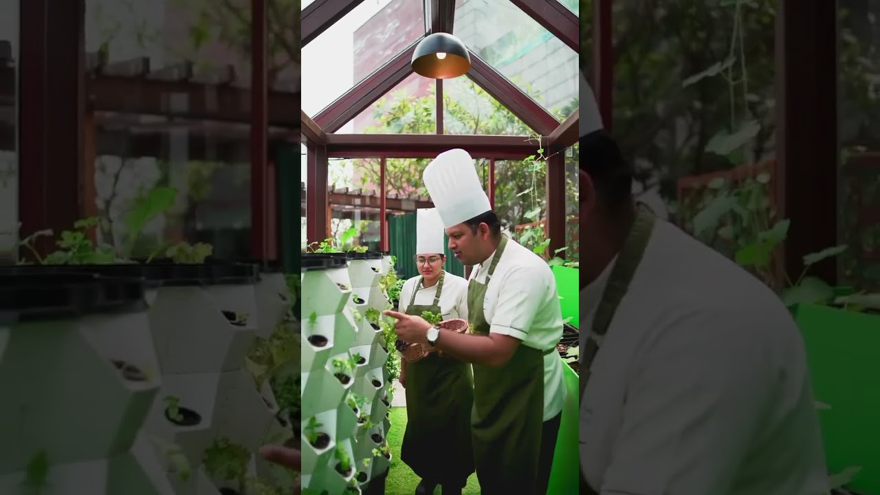 The Green House, Our Hydroponic World where fresh greens floruish. 