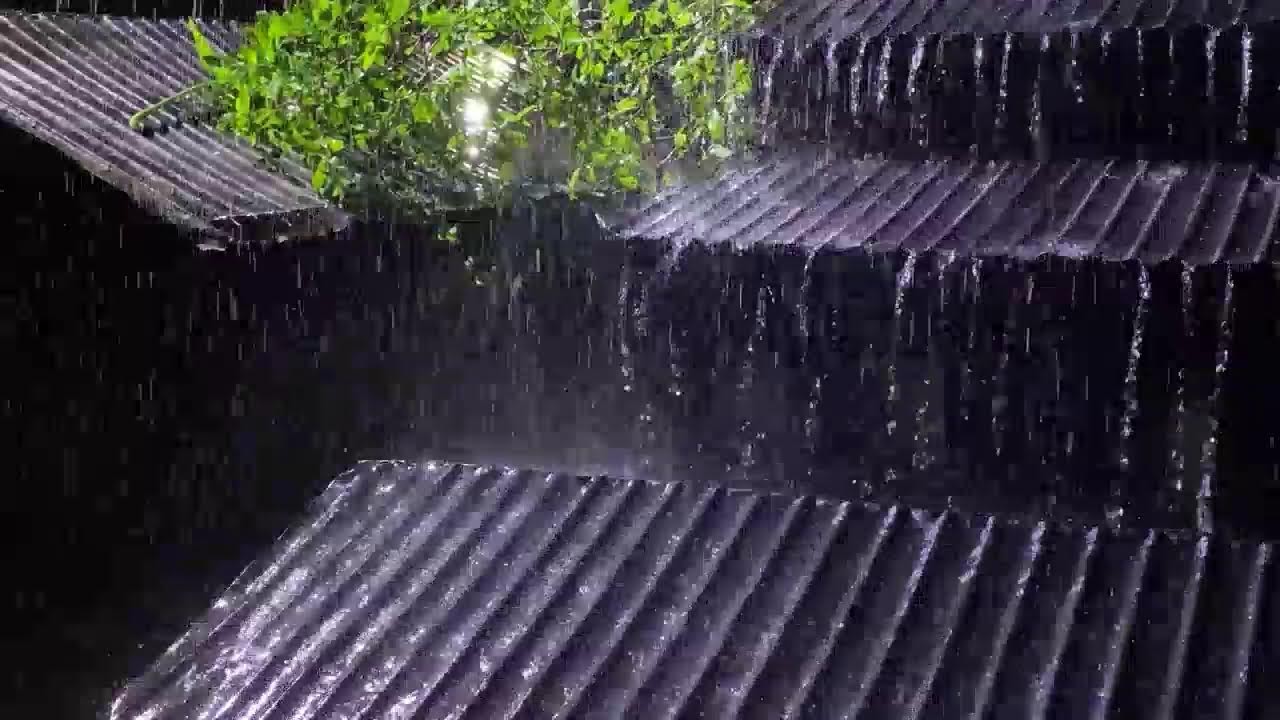 Heavy Rain & Thunder ASMR for Anxiety Relief and Deep Sleep