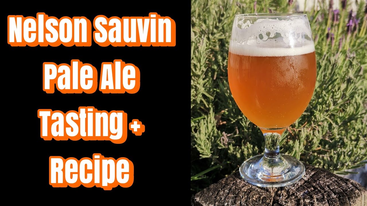 Nelson Sauvin Pale Ale - Tasting + Recipe