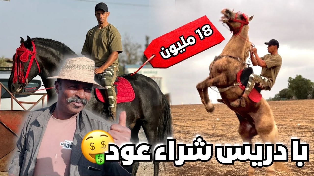 العود ديال 18ملـيون نشاط مع بادريس وأشرف