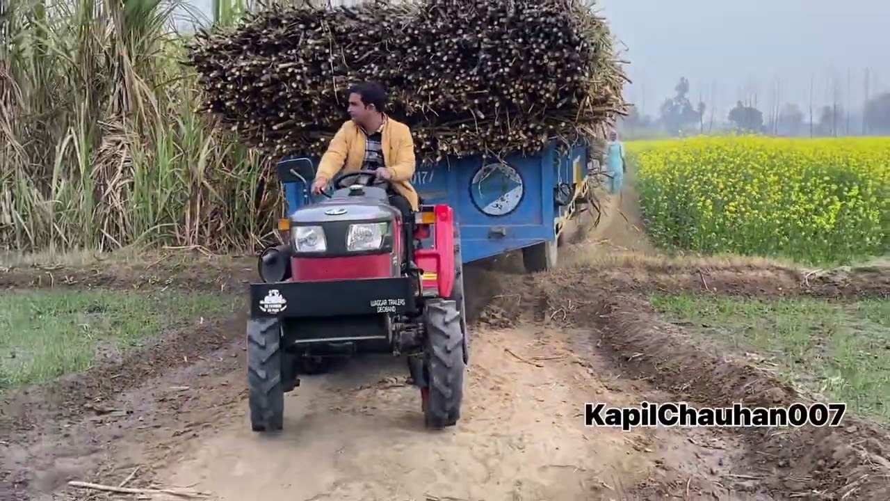 Mahindra jivo 305 4x4