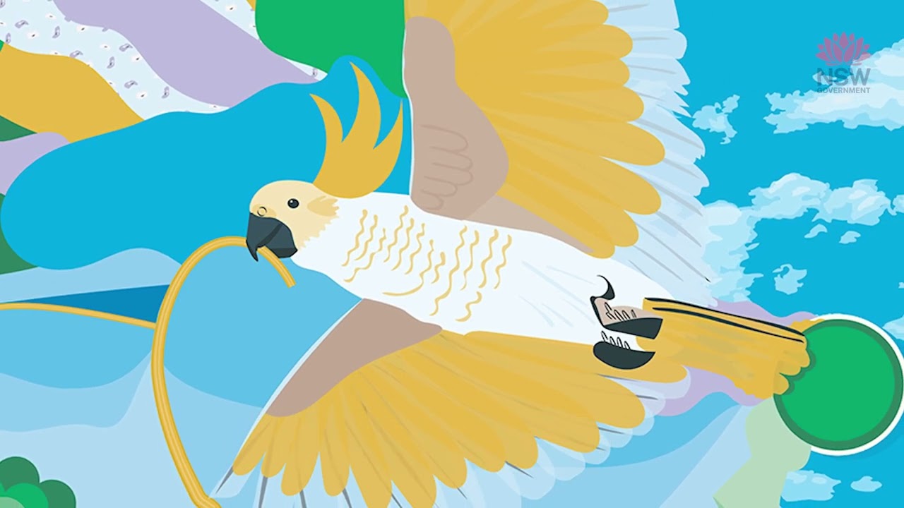 Griffith Base Hospital Redevelopment - New Paediatric Unit Artwork